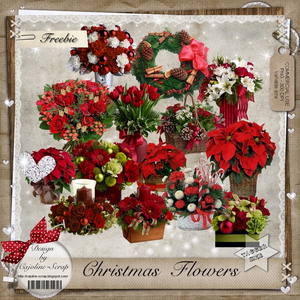 CHRISTMAS FLOWERS - CU Cajoline_christmasflowers-cu