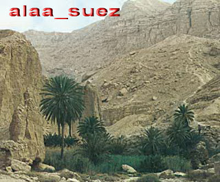 صور للسويس ...  علي مر التاريخ 167