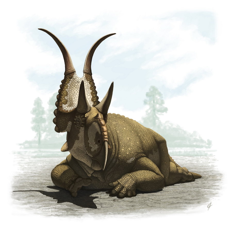 Robert T. Bakker's Rare Dinosaurs Diabloceratops_by_olorotitan-d2zd1ev