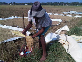 ”பார்க்கலாம் வாங்க மனம் சலிக்குமா” IMG00058-20100224-1523