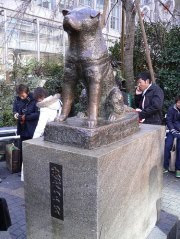 Kisah Nyata Melegenda Hachiko yang Mengharukan dari Jepang 3