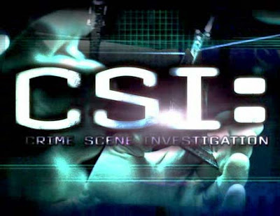Crime Scene Investigation: Series  Csi-season-9-episode-25