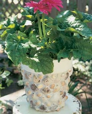 ::::...طريقة لتزيين الطاولات فى الافراح...:::: Seashell-planter-bhg