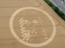 Crop Circles - Círculos en las Cosechas Wickam-detail