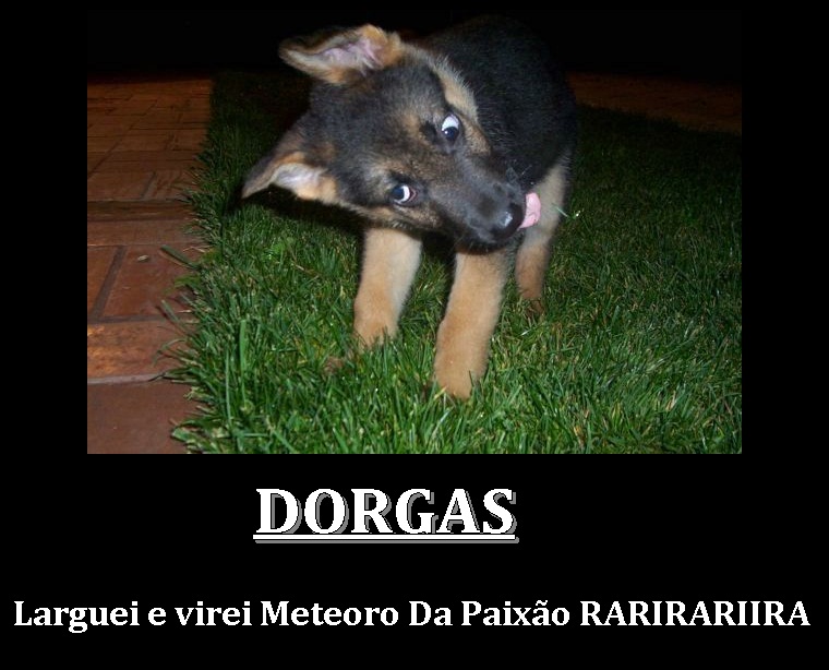 Dorgas? Larguei (Nao, o Caco ainda e maconheiro...) Dorgas-larguei-agora-sou-um-meteoro-da-paixao1