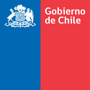 Diseñándole la tricota a la NANI, nuestra campeona nacional NUEVO-LOGO-GOBIERNO-DE-CHILE-2