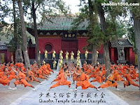 academia shaolin