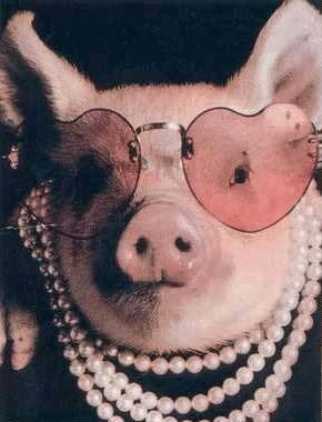 Babi Yang Sangat Istimewa PigPinkGlasses