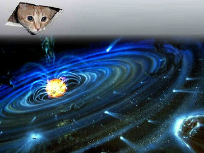 The Anthropic Principle Cieling_cat_creates