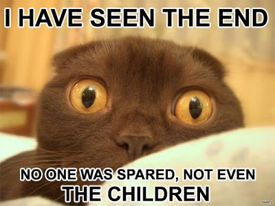 mmh The-end-of-lolcat