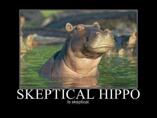 Remember when we first joined the forums? - Page 2 Skeptical-hippo