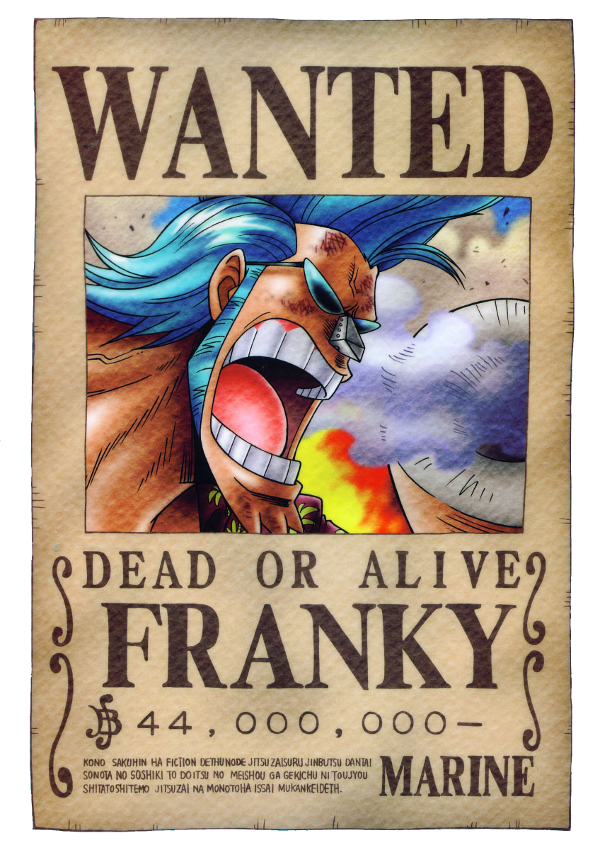 Wanted de l'équipage des mugiwara Franky-wanted