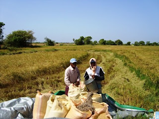 என்னை நினைவு இருக்கா ? DSC00558