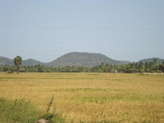 என்னை நினைவு இருக்கா ? DSC00571