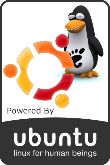 Montando un Server con Linux Ubuntu Ubuntu