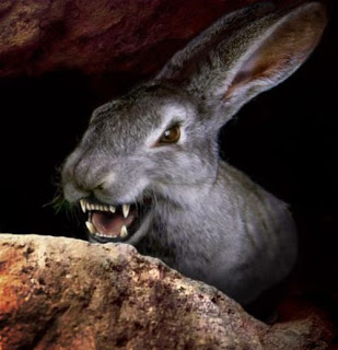 PERDON O VENGANZA¡¡¡¡¡¡¡ - Página 10 Lepus