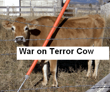 Una tal-Ivonne, fanatica de Bin Laden, perseguida en Alemania 1_War_On_Terror_Jersey_cow