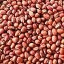 இரவு உணவில் மீனைச் சேர்த்தால் இனிய தூக்கம் வரும். Beans