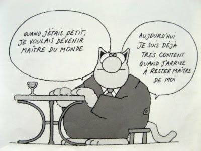 Le Chat qui  nous  faire  sourire et rire LeChat-Geluk