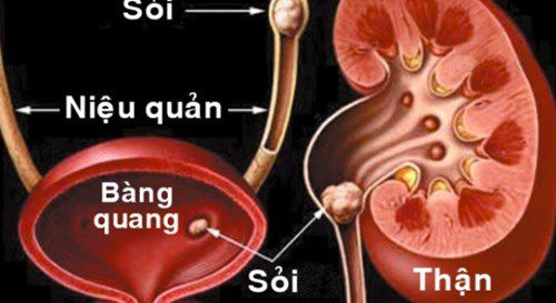 Công dụng tuyệt vời của nước dừa 3_35238