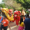 香港龍獅節 Hong Kong Lion Dragon Festival - 頁 2 OHqAgXEs