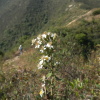 鯉魚擺尾 2012-02-11 Hiking - 頁 2 TgYEnu6L