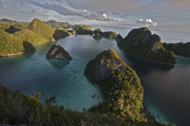 Un “Amazonas” submarino en Indonesia (Raja Ampat) Raja_Ampat_Islands