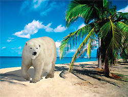 [Jeu] Je veux une image Ours%20a%20la%20plage