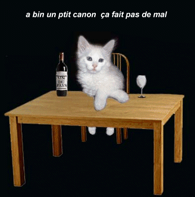 Humour De Chats