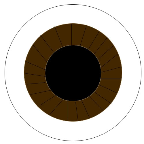 Iris Shadow 18048.imgcache