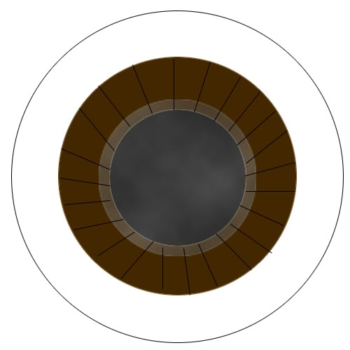 Iris Shadow 18050.imgcache