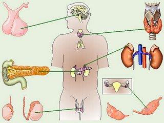 تسجيلات الباطنة دكتور أسامة_متقسمة disease \ disease 22265.imgcache