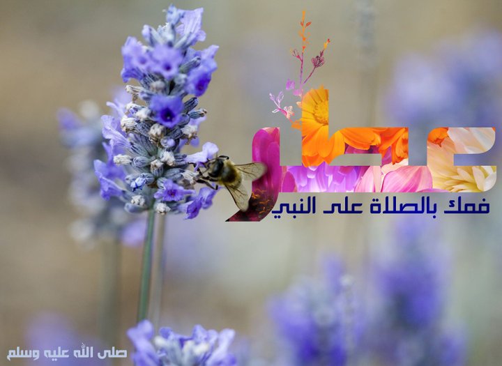 ♥♥ عَطـــر فمـــك بالـــصــلاةِ على النبى ♥♥ بالصور 32409.imgcache