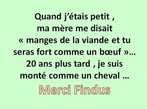 merci findus 3145503144_1_2_Y3p82iEv