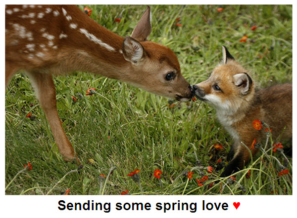 BONJOUR - BUEN DIA - Page 13 Spring-love