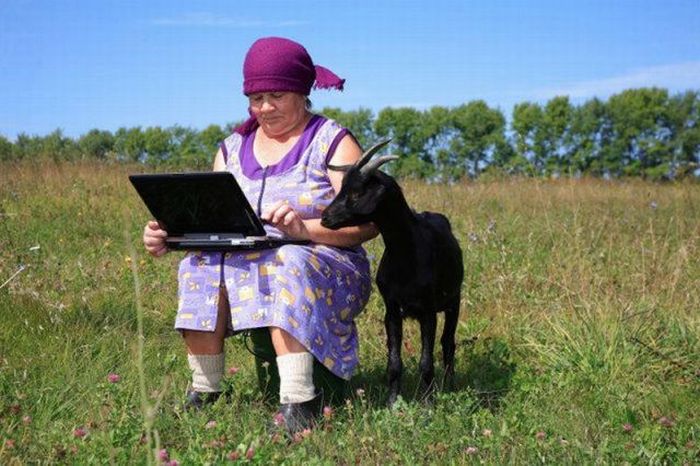  SATIRĂ ȘI UMOR  - Pagina 22 Laptop-goat