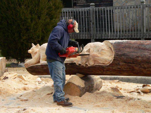 Animals Carved In Tree Trunk فنان نيوزلندي يبدع في النحت على  جذوع الأشجار Image002