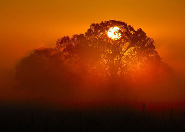 galeri foto Lukisan Alam Terindah Maha Karya Tuhan Sang Pencipta  Gorgeous_mornings_640_14