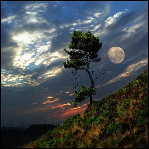 عيــــــن عـــــلى القمـــــــر Stunning-photos-of-moon-08