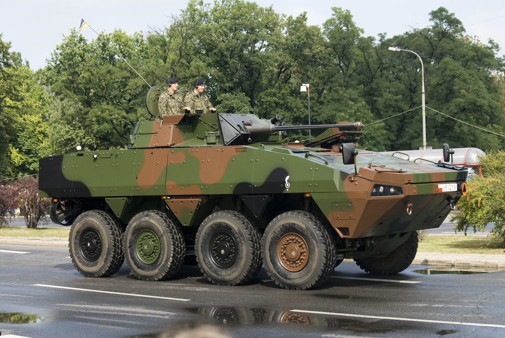 Fuerzas armadas de Polonia Polish_Army_Poland_Military_Parade_15_August_2008_009