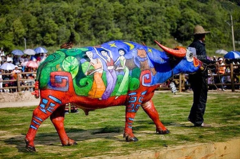 Buffalo Bodypainting Competition in China Buffalo-bodypainting-china-2