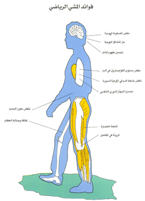 فوائد المشي الرياضي 6_1316858528