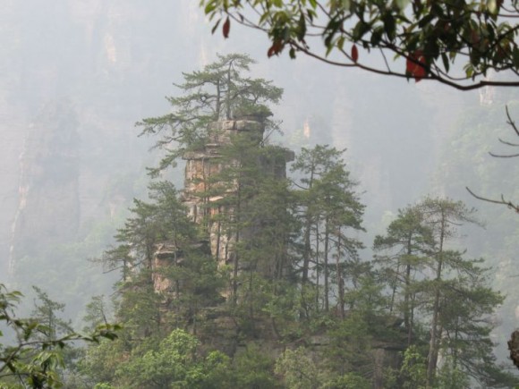 شاهد أعمدة تشانغجياجيه الصينية.. عالم ليس كعالمنا Pillar-mountains-china04