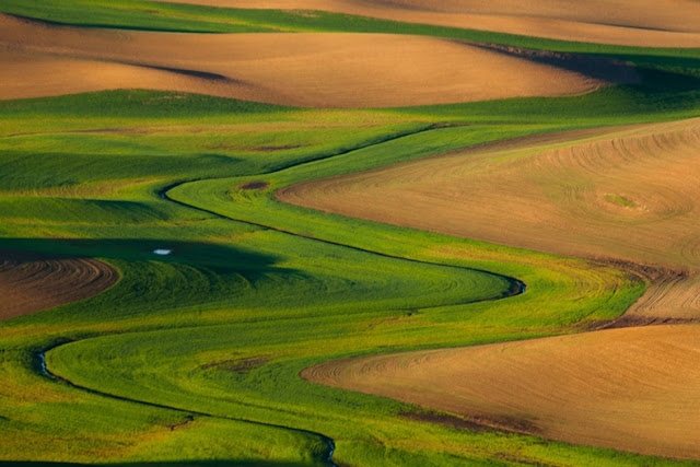 تعرف على بالويوس ارض العشب الملون Palouse-12%5B5%5D