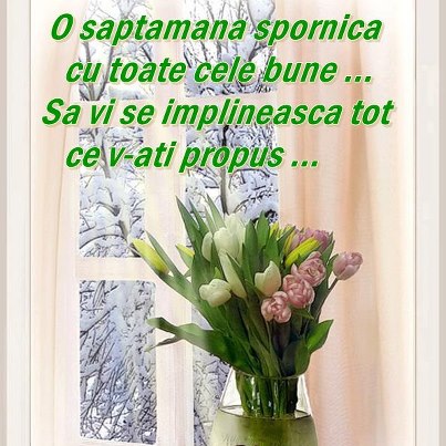 COFFE CHAT           - Pagina 30 11311_601438519871109_300157401_n