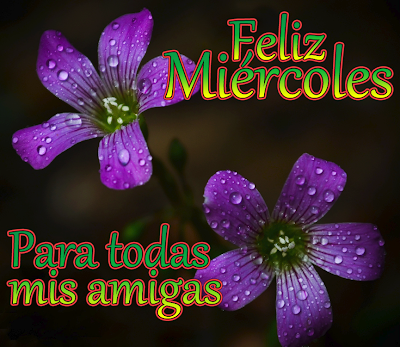 Buenos días, buenas tardes ó buenas noches ... - Página 27 Feliz-miercoles-amigas