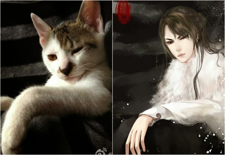 Fotos de animais retratados em estilo anime pelo artista Xuedaixun 5