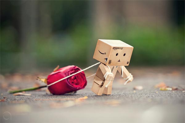 صور لدآنبـــو  Danbo_robot_3