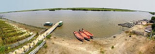 அழகிய படங்கள். - Page 4 800px-Pichavaram_mangrove_forest_panorama