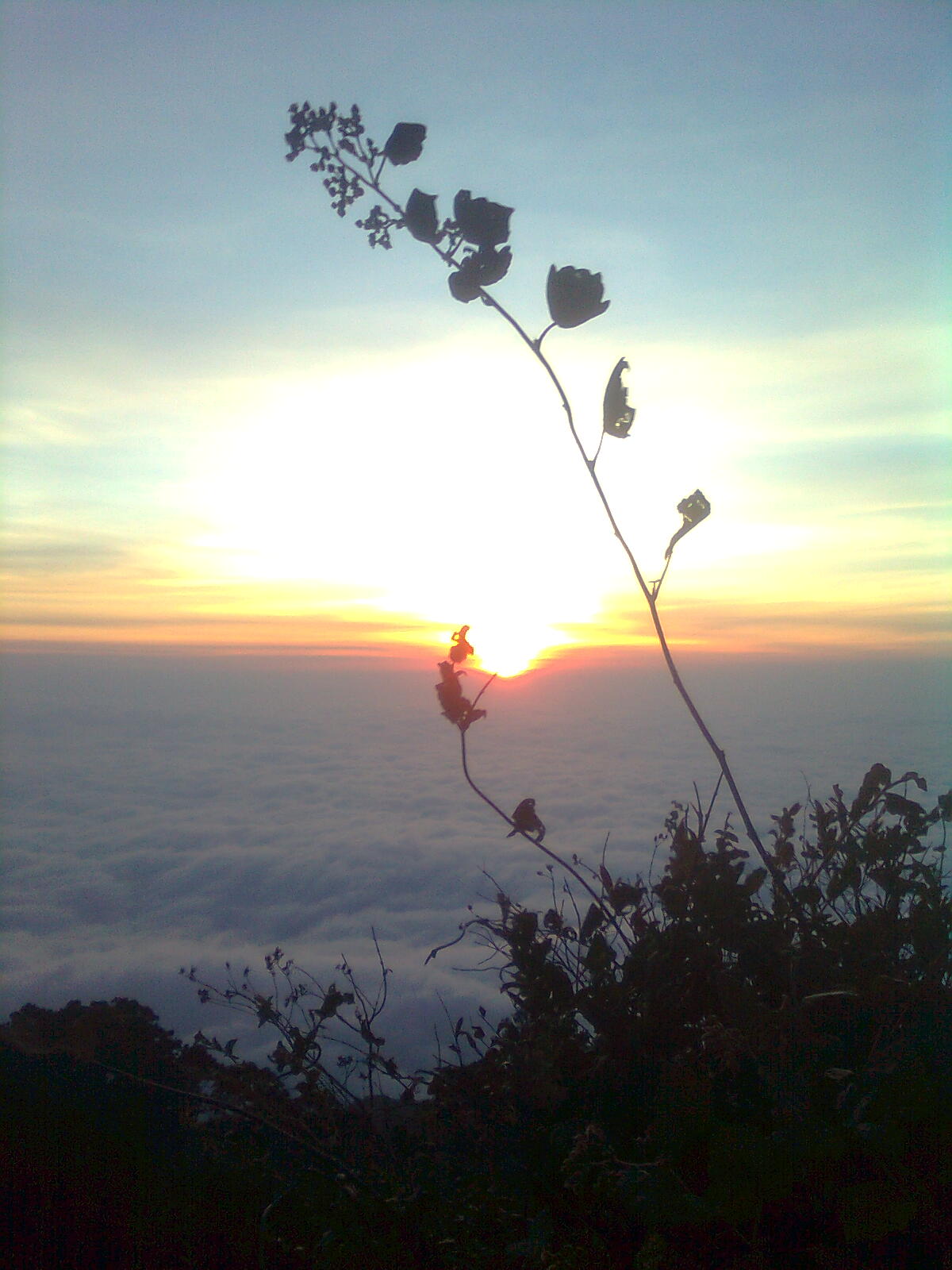 Berbagi pengalaman mendaki gunung (khususnya) dan wisata alam (umumnya) Foto0480